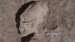 Усього вчені знайшли 25 людських скелетів, причому у 13 з них черепа мали сліди навмисної деформації.