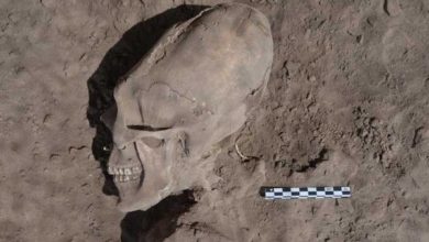 Усього вчені знайшли 25 людських скелетів, причому у 13 з них черепа мали сліди навмисної деформації.