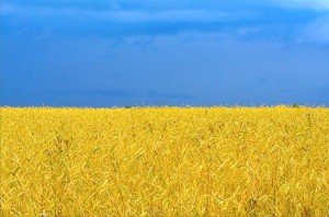 Україна і Кенія - останні у рейтингу країн, в яких краще народитися у 2013-ому році