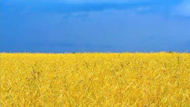 Україна і Кенія - останні у рейтингу країн, в яких краще народитися у 2013-ому році