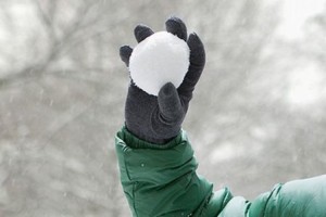 У Німеччині вчитель відсудив компенсацію за потрапляння сніжки