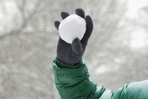 У Німеччині вчитель відсудив компенсацію за потрапляння сніжки