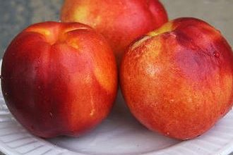 4 літніх суперпродукти