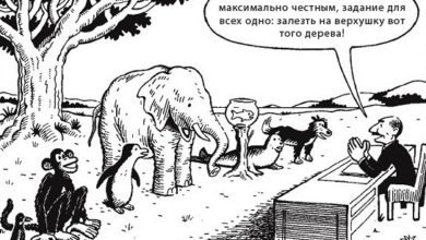 Коротко про шлях учня в школі: втрата впевненості, здобуття непрактичних знань і формування байдужості до саморозвитку