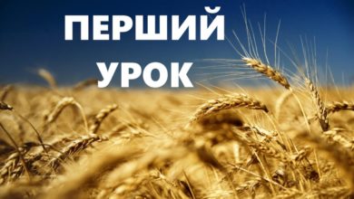 Перший урок-Шкільне життя