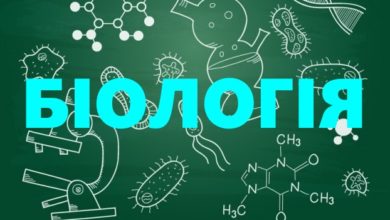 Біологія-Шкільне життя