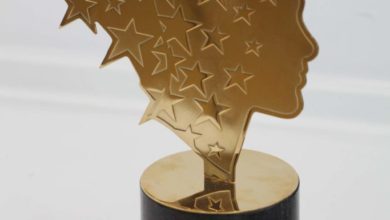 Global Teacher Prize Ukraine-Шкільне життя
