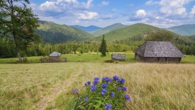 Відпустка-Шкільне життя