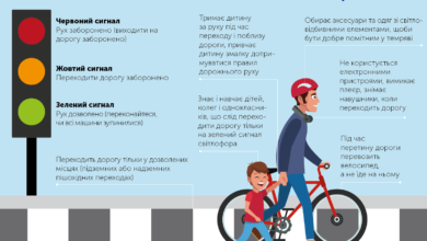 Свідомий пішохід-Шкільне життя