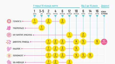 Календар щеплень-Шкільне життя