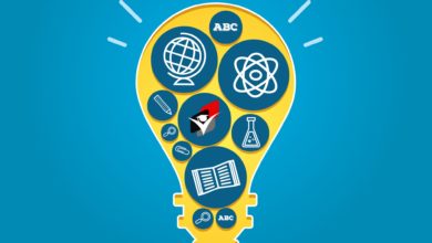 ЗНО-Шкільне життя