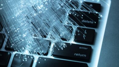 Інформатика-Шкільне життя