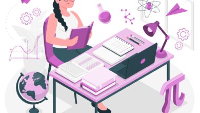 ЗНО, НМТ, Тестування-Шкільне життя